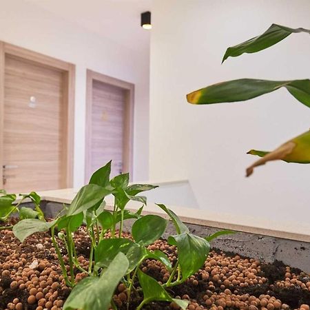 Boutique Garden Rooms Dubrovnik Luaran gambar