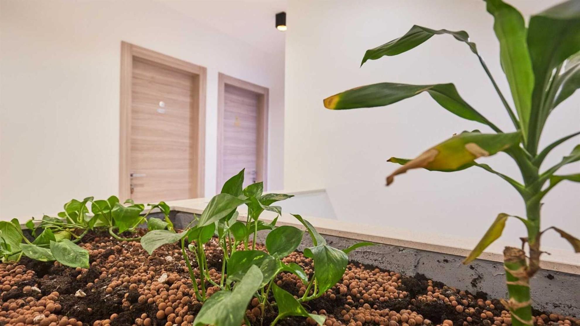 Boutique Garden Rooms Dubrovnik Luaran gambar